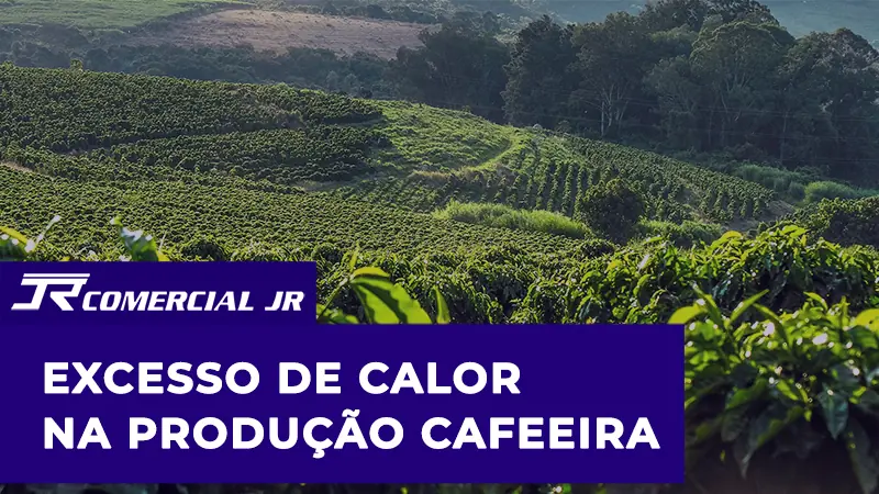 Calor Excessivo no Café: Impactos na Lavoura e Como Evitar Perdas na Produção
