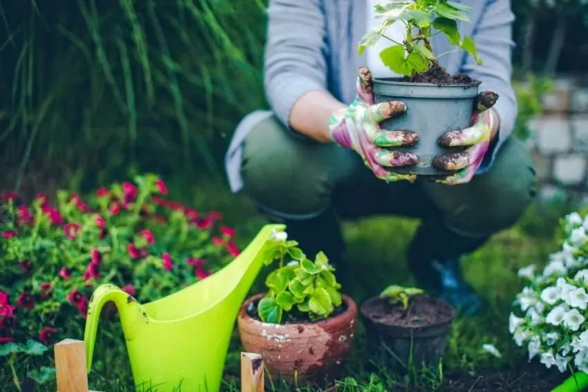 principais ferramentas para jardinagem