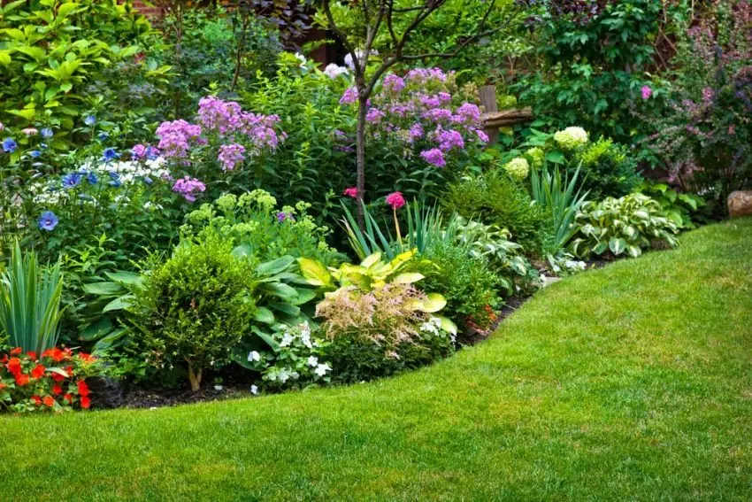 equipamentos de jardinagem carrinho de mão