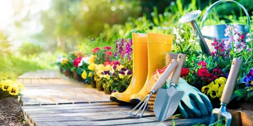ferramentas de jardinagem essenciais para jardim